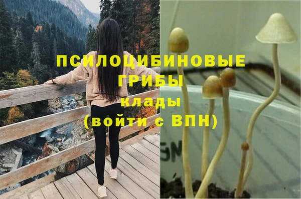 не бодяженный Нефтегорск