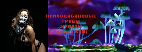PSILOCYBIN Новокубанск