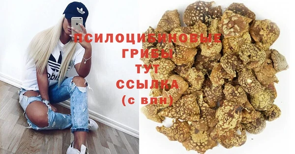 PSILOCYBIN Новокубанск