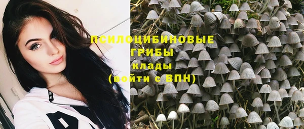мдма Новозыбков