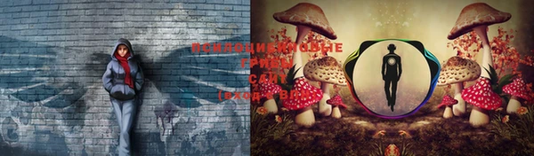 кокаин перу Новодвинск