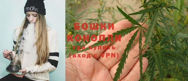 мдма Новозыбков