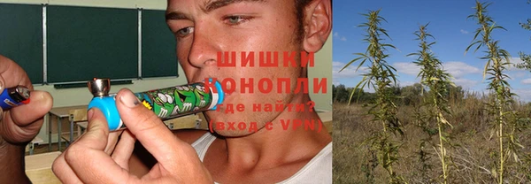 PSILOCYBIN Новокубанск