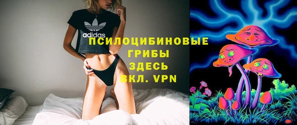 PSILOCYBIN Новокубанск